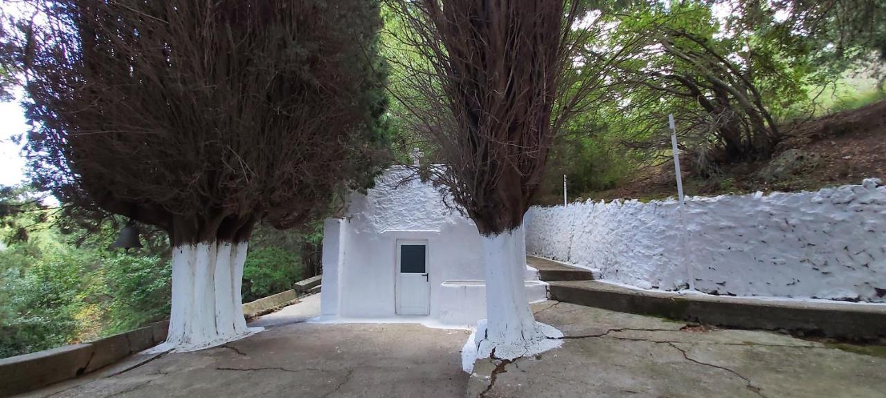 Traditional House In Asfendiou Agios Dimitrios (Kos) Exterior foto